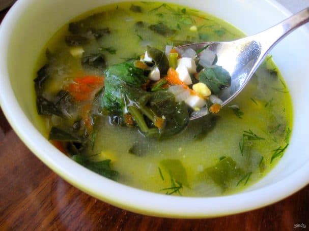 Sorrel Borscht