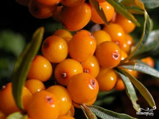 Sea Buckthorn Dessert