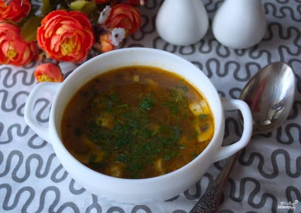 Dietary mushroom soup with champignons