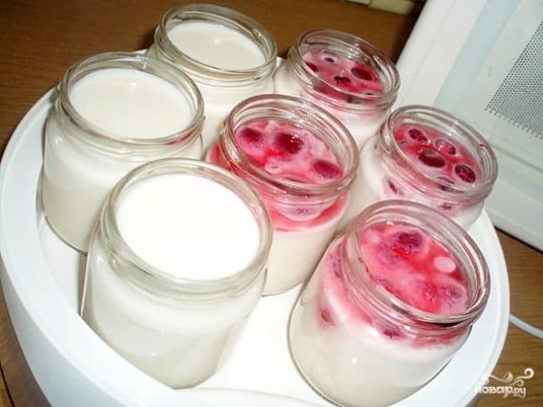 Homemade yogurt from milk