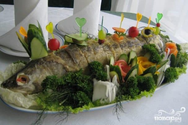Stuffed pike-perch