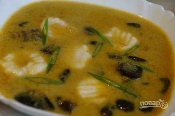 Birch bolete mushroom soup