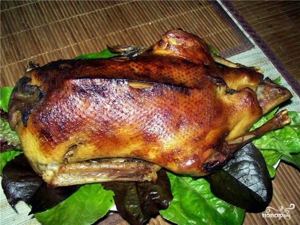Goose with apples in a baking bag