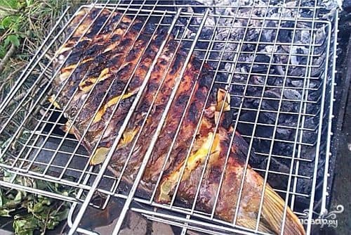 Карп на мангалі