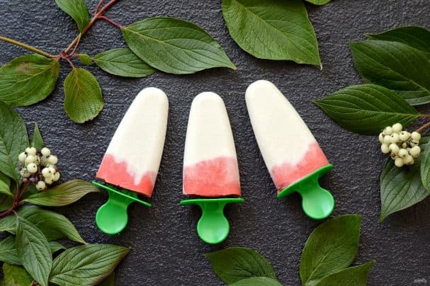 Coconut ice cream