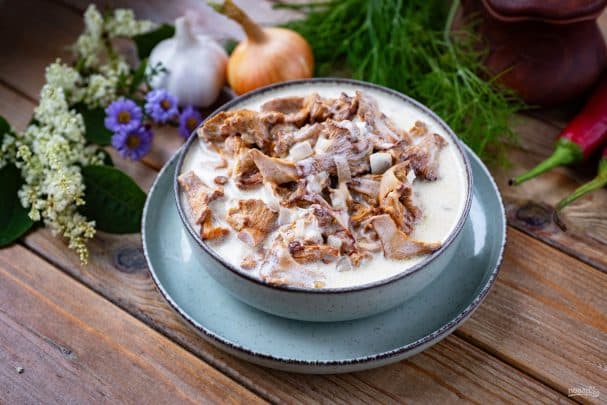 Chanterelles in creamy sauce