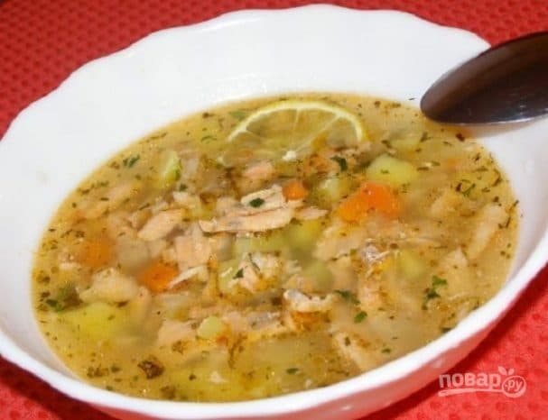 Vegetable soup with salmon