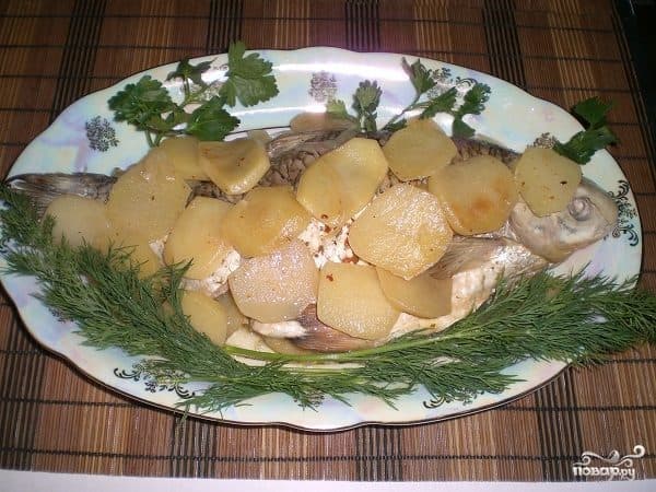 Вобла ў фальзе