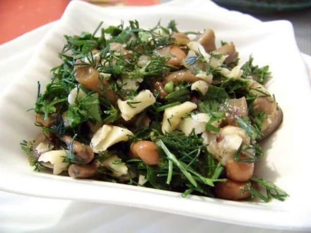 Forest mushroom salad