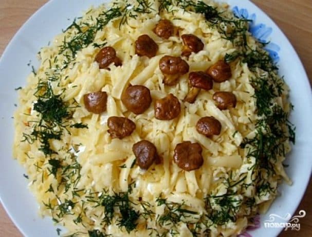 Салата з лісавікамі і сырам