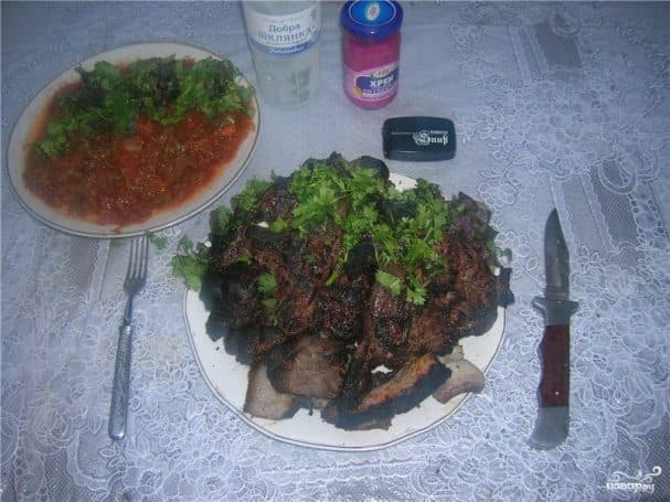 Venison shashlik
