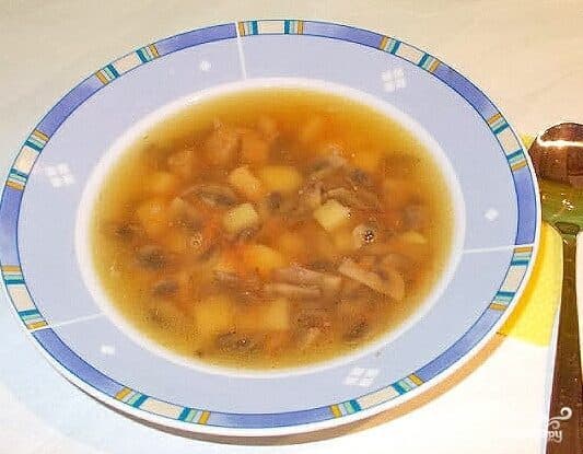 Грыбны суп з мясом