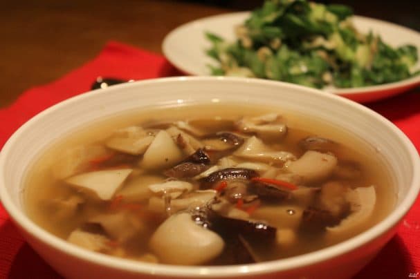 Mushroom soup from raincoats