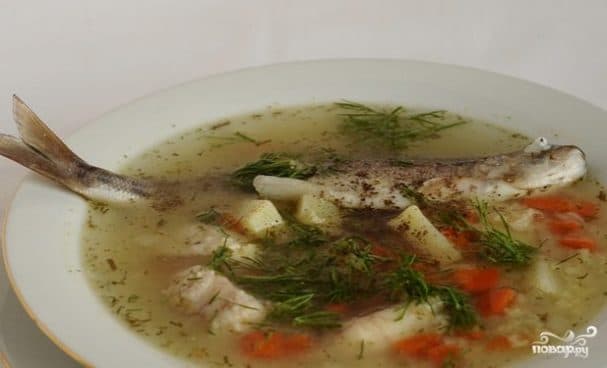 River Fish Soup