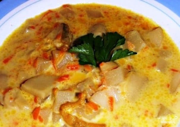 White mushroom soup with fresh mushrooms