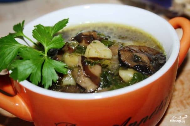 Mushroom soup from fresh boletus
