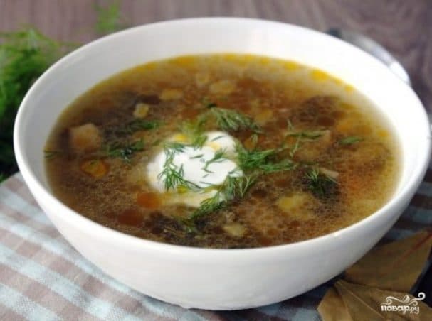 Soup with fresh boletus mushrooms