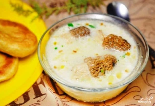 Morel soup from fresh morels