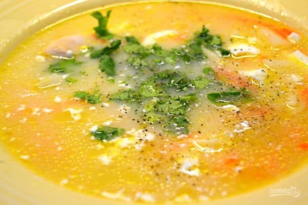 Chicken and Noodle Soup