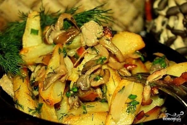Fried oyster mushrooms with potatoes