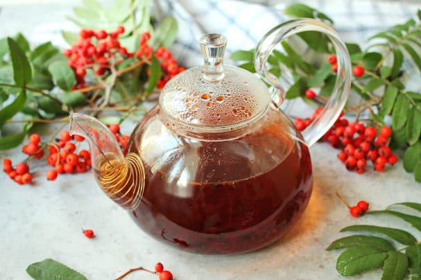 Чай з каліны