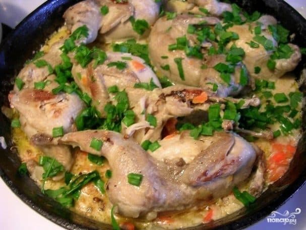 Partridge fricassee