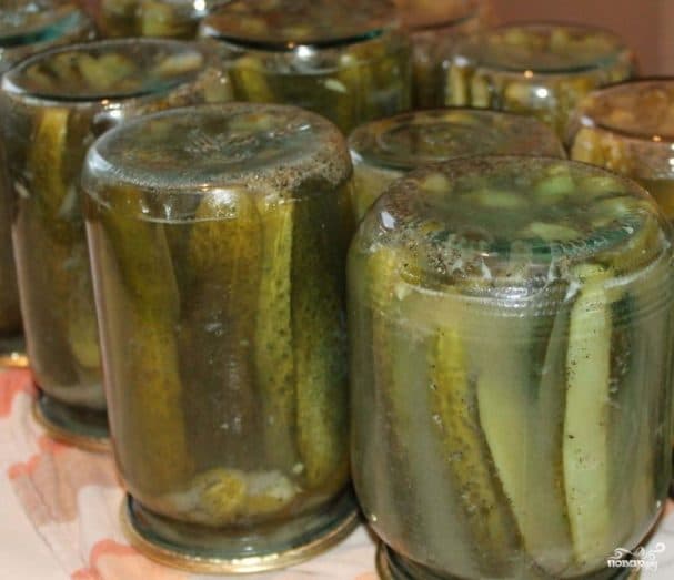 Mustard cucumbers for winter storage