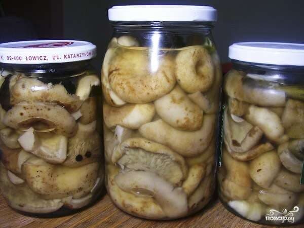 Грузди соленые маринованные