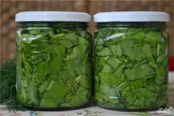 Щавель на зиму (консервация)