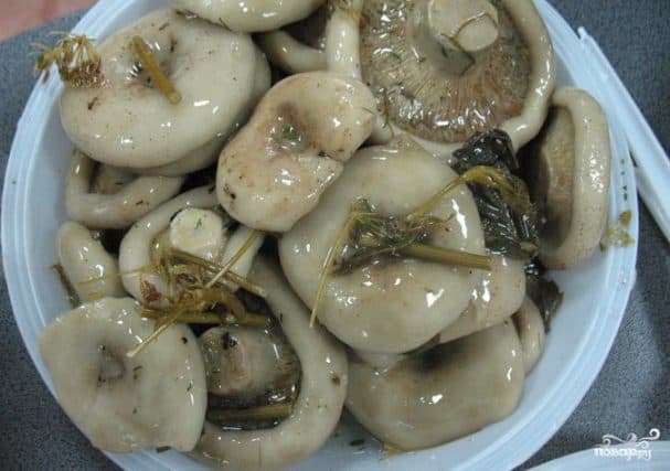 Соленые грузди