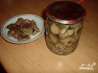 Соленые маслята на зиму