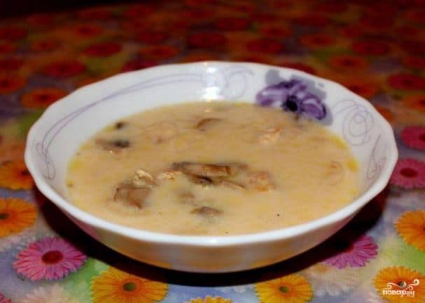 Cheese soup with chicken and mushrooms