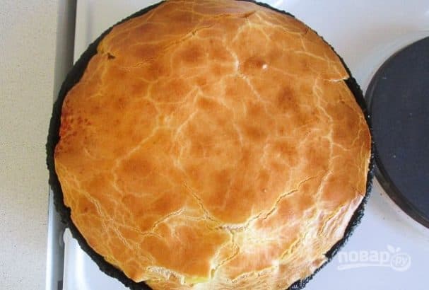 Лінивий курник
