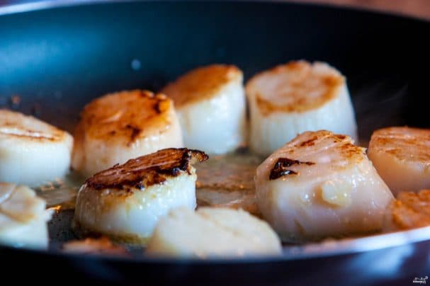 Scallops in creamy sauce