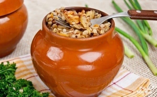 Buckwheat in pots