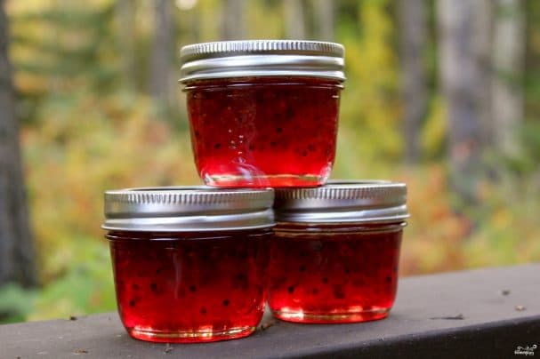 Gooseberry jelly with gelatin