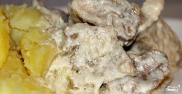 Meat in creamy sauce