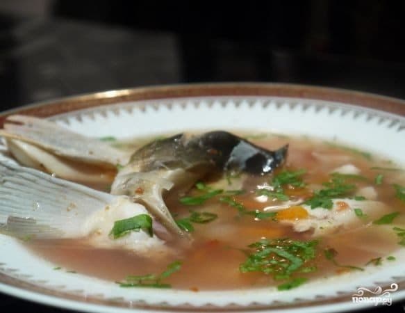 Fish soup from carp