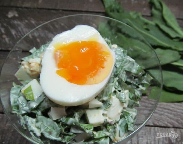Sorrel salad with egg