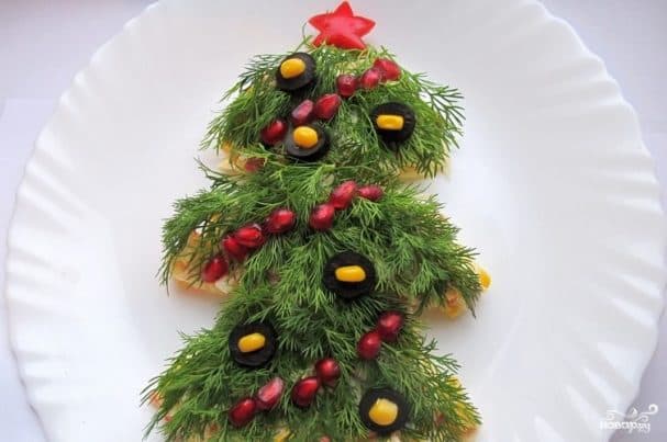 Salad