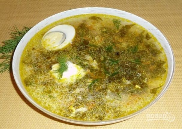 Sorrel soup from canned sorrel