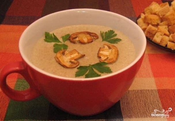 Mushroom puree soup