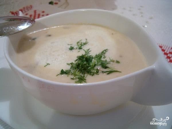 Soup with dried birch boletes