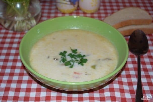 Pleurotus mushroom soup with potatoes