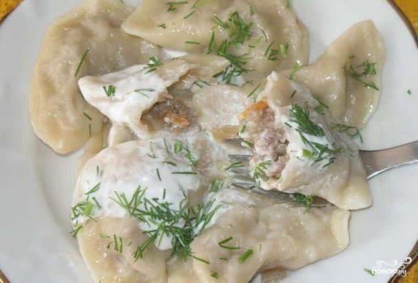 Dumplings with cabbage and meat