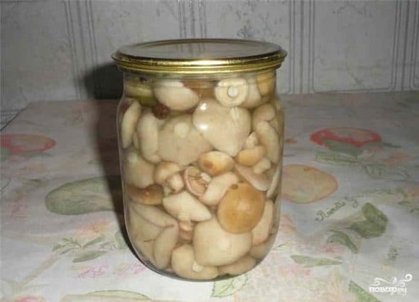 Маринованные шляпки подберезовиков
