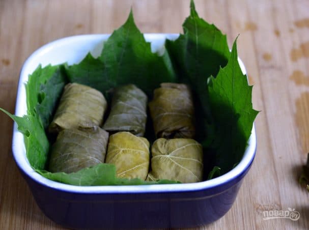 Azerbaijani-style grape leaf dolma
